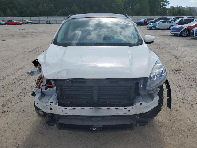  FORD ESCAPE 2022 Белы
