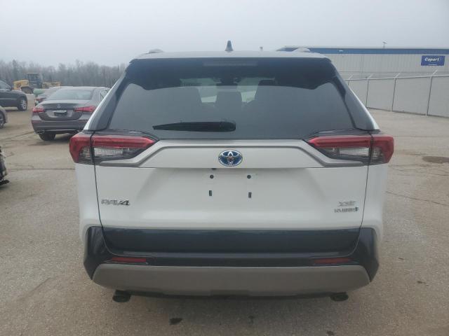 2024 TOYOTA RAV4 XSE