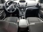 2016 Ford Escape S for Sale in Memphis, TN - Hail