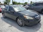 2011 Honda Accord Exl for Sale in Riverview, FL - Rear End