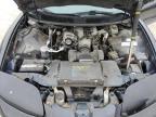 1999 Pontiac Firebird  for Sale in Wilmer, TX - Hail