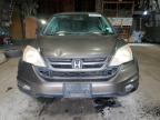 2010 Honda Cr-V Ex for Sale in Albany, NY - Rear End