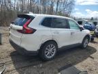 2023 HONDA CR-V EXL for sale at Copart ON - COOKSTOWN