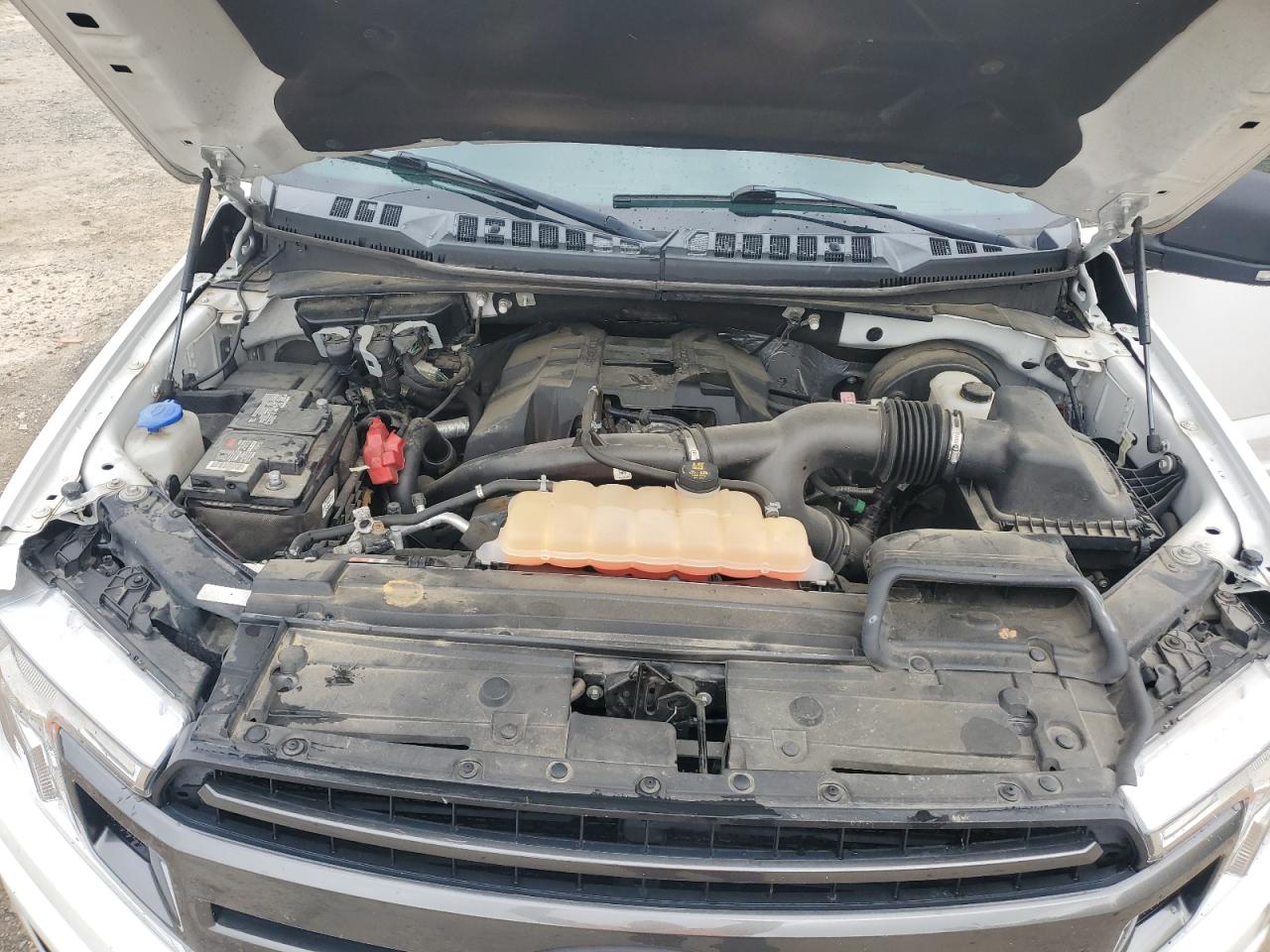 2018 Ford F150 Supercrew VIN: 1FTEW1CP1JKE65010 Lot: 54696085