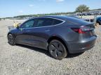 2020 Tesla Model 3  for Sale in Riverview, FL - All Over