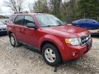 2011 Ford Escape Xlt للبيع في Northfield، OH - Rear End