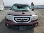 Airway Heights, WA에서 판매 중인 2010 Honda Pilot Exl - All Over