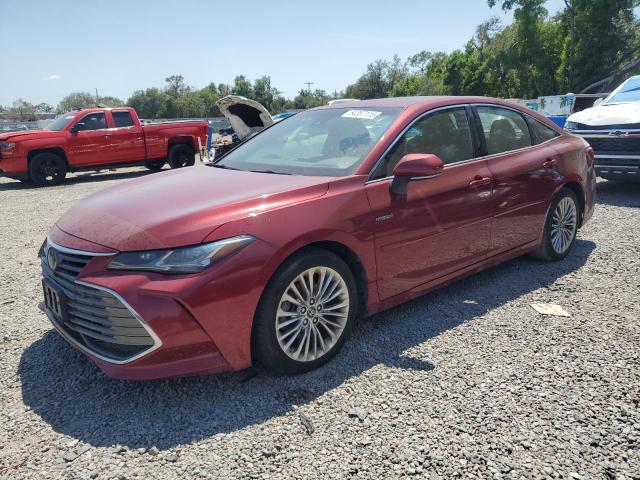 2019 Toyota Avalon Xle