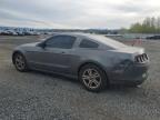 2014 Ford Mustang  for Sale in Arlington, WA - Rear End