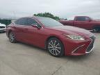 Wilmer, TX에서 판매 중인 2019 Lexus Es 350 - Hail