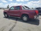 2005 Chevrolet Avalanche K1500 на продаже в Miami, FL - Side