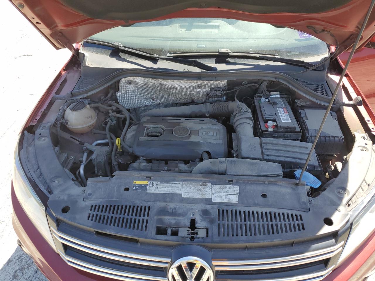 2014 Volkswagen Tiguan S VIN: WVGBV3AX6EW079486 Lot: 54610775