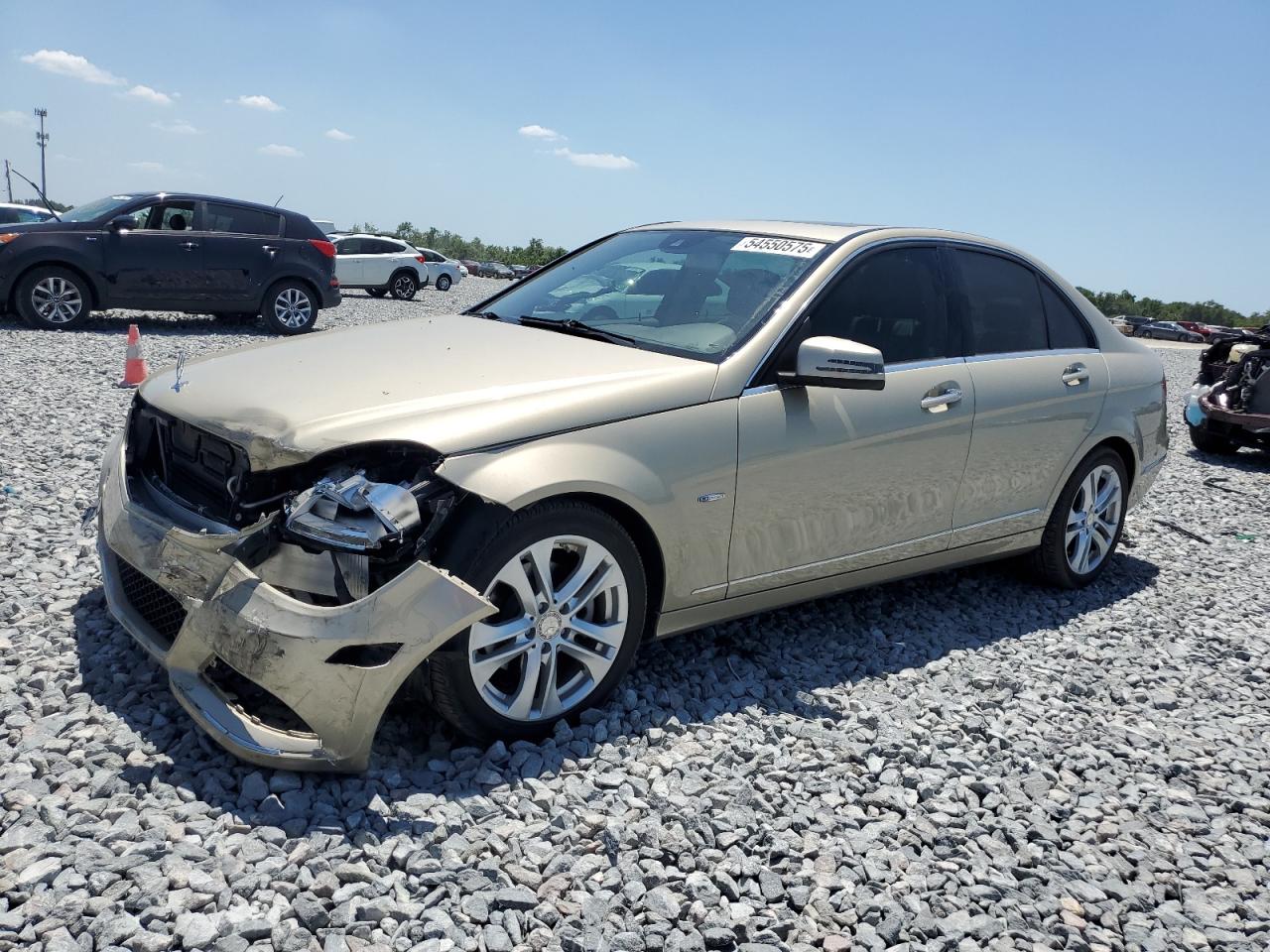 2012 Mercedes-Benz C 250 for Sale in Arcadia, FL - Front End