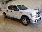 2014 Ford F150 Supercrew იყიდება San Antonio-ში, TX - Minor Dent/Scratches