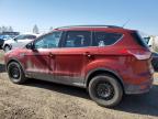 Rocky View County, AB에서 판매 중인 2015 Ford Escape Se - Hail