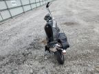 1981 HONDA CB750 C for sale at Copart KY - WALTON