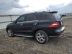 2013 Mercedes-Benz Ml 350 4Matic للبيع في Earlington، KY - Hail