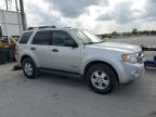 2008 Ford Escape Xlt for Sale in Lebanon, TN - Rear End