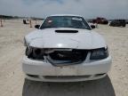 2003 Ford Mustang  na sprzedaż w New Braunfels, TX - Front End