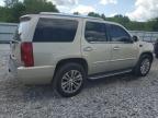 Prairie Grove, AR에서 판매 중인 2007 Cadillac Escalade Luxury - Side