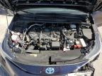 2024 Toyota Corolla Le zu verkaufen in Apopka, FL - Front End