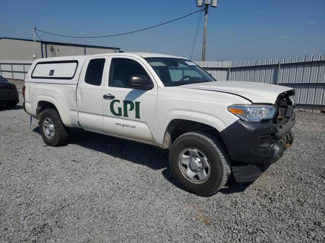  TOYOTA TACOMA 2020 Белы