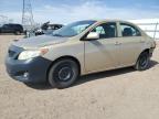 2010 Toyota Corolla Base na sprzedaż w Adelanto, CA - Rear End