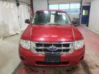 2011 Ford Escape Xls for Sale in Angola, NY - Normal Wear