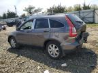 2009 Honda Cr-V Ex за продажба в Windsor, NJ - Rear End