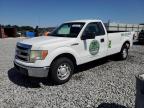 2013 Ford F150  for Sale in Arcadia, FL - Rear End