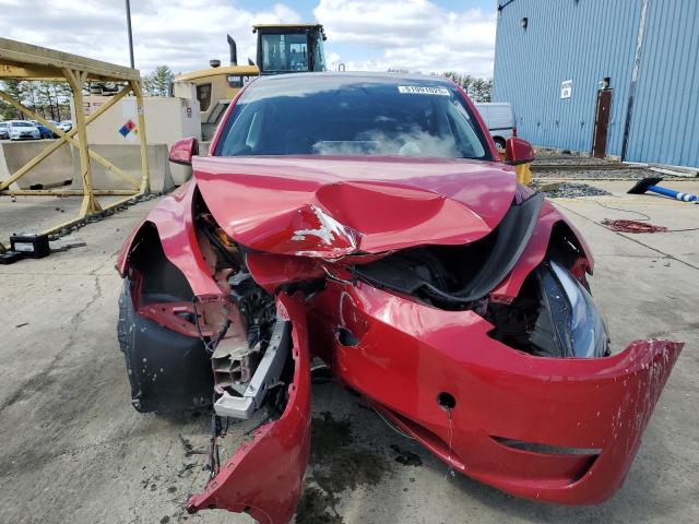 TESLA MODEL Y 2023 Czerwony