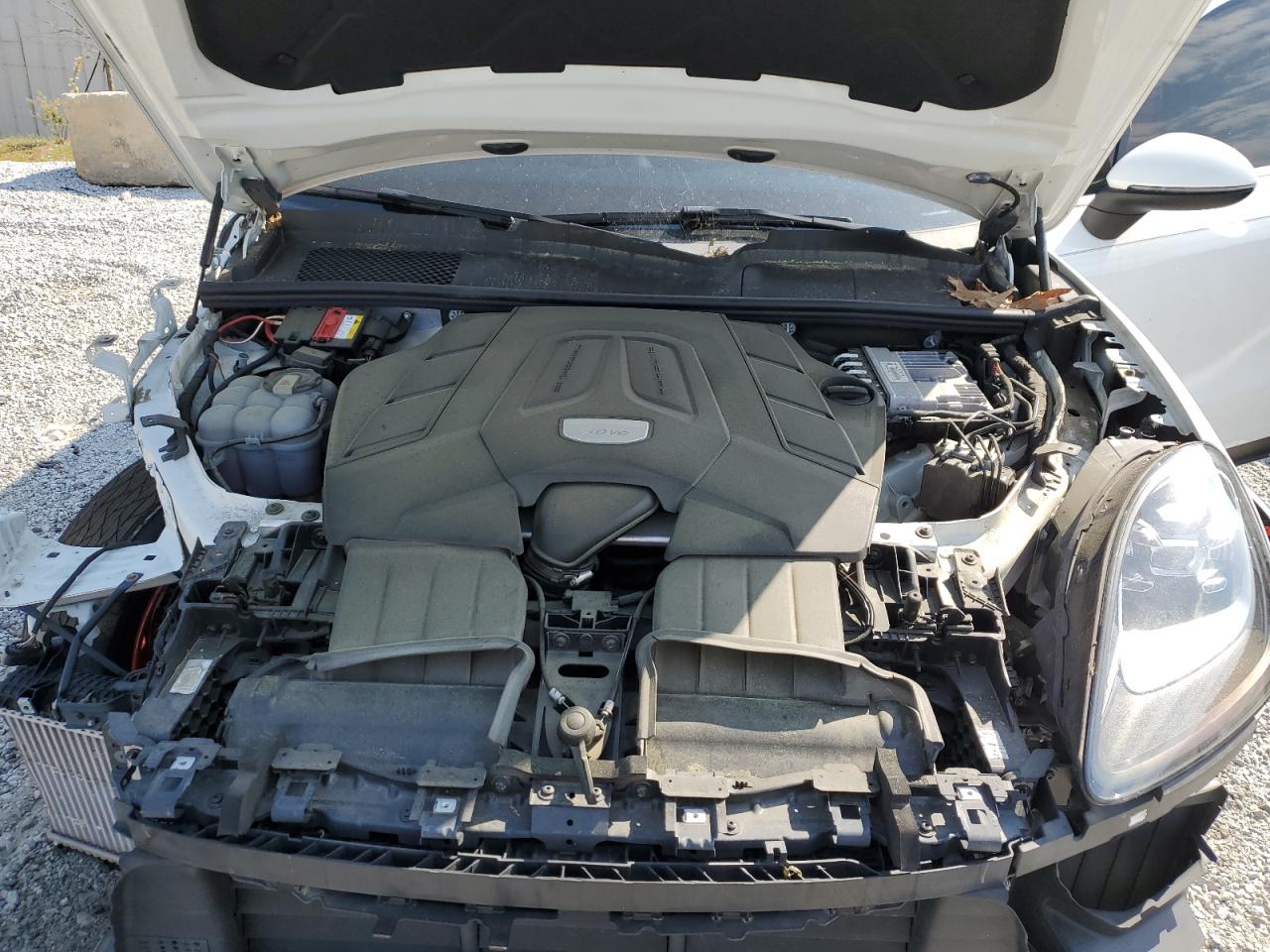 Фото: WP1AA2AY3LDA00359 - 12