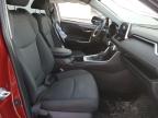 2024 TOYOTA RAV4 XLE   for sale at Copart NB - MONCTON