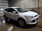 2016 Ford Escape Se for Sale in Blaine, MN - Minor Dent/Scratches
