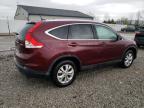 2013 Honda Cr-V Exl за продажба в Louisville, KY - Hail