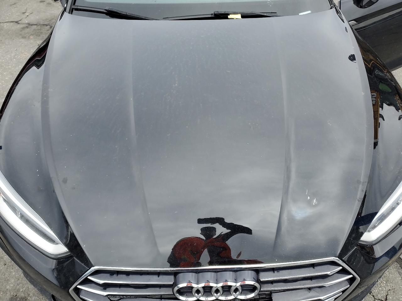 2019 Audi A5 Premium VIN: WAUANCF52KA051682 Lot: 52384235