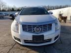 2013 Cadillac Srx Luxury Collection продається в Rogersville, MO - Rear End