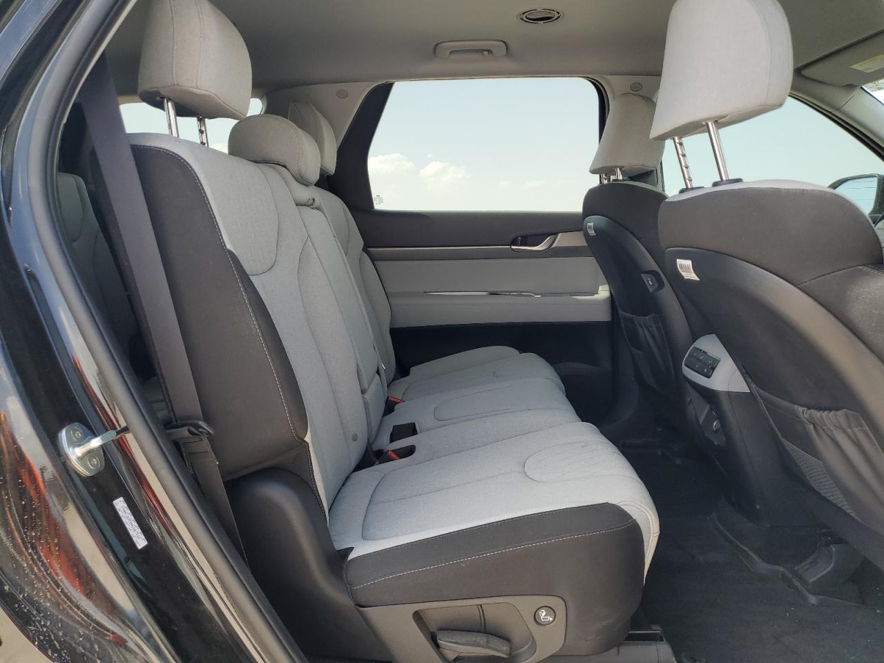 2022 Hyundai Palisade Se VIN: KM8R1DHE8NU387565 Lot: 54209515