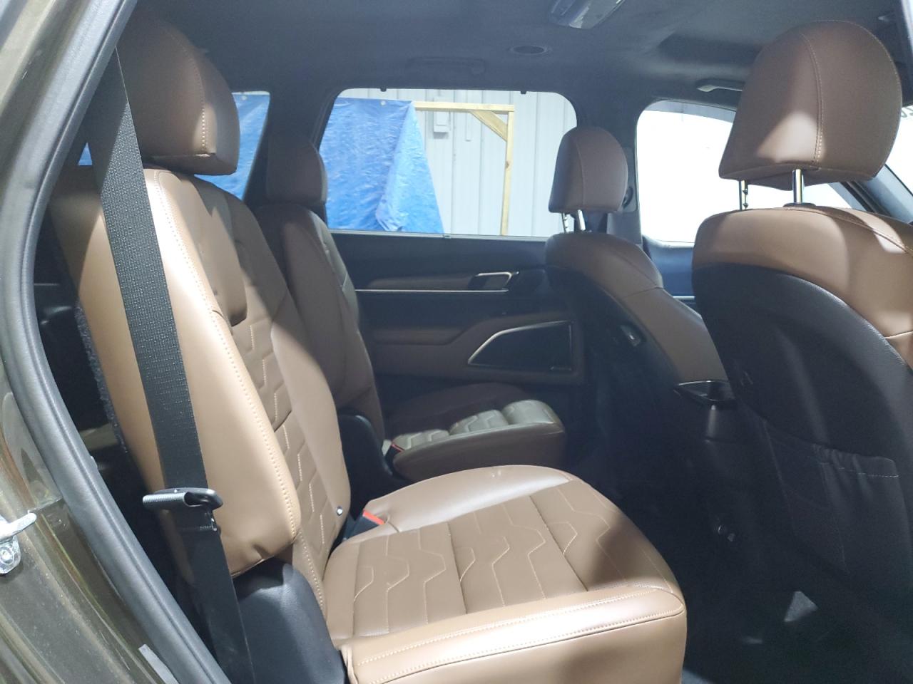 2022 Kia Telluride Sx VIN: 5XYP5DHC2NG276672 Lot: 53269885
