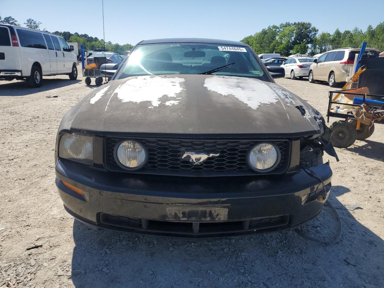 2006 Ford Mustang Gt VIN: 1ZVHT82HX65250091 Lot: 54744845