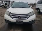 2014 Honda Cr-V Exl на продаже в New Britain, CT - Rear End
