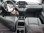 2023 Honda Odyssey Exl за продажба в Walton, KY - Front End