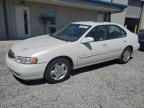 2000 Nissan Altima Xe en Venta en Earlington, KY - Hail