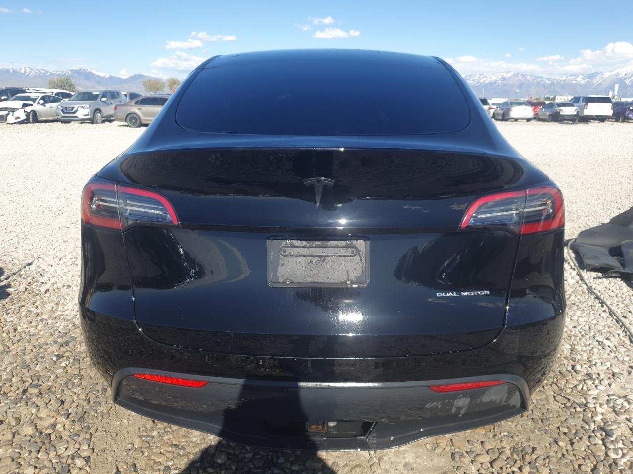 2023 Tesla Model Y VIN: 7SAYGAEE5PF711801 Lot: 55168875