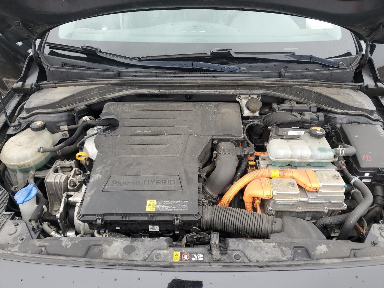 2019 Hyundai Ioniq Limited VIN: KMHC75LDXKU161905 Lot: 51807525