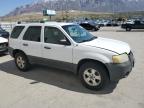 2005 Ford Escape Xlt for Sale in Farr West, UT - Normal Wear