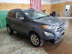 2020 Ford Ecosport Se for Sale in Kincheloe, MI - Front End