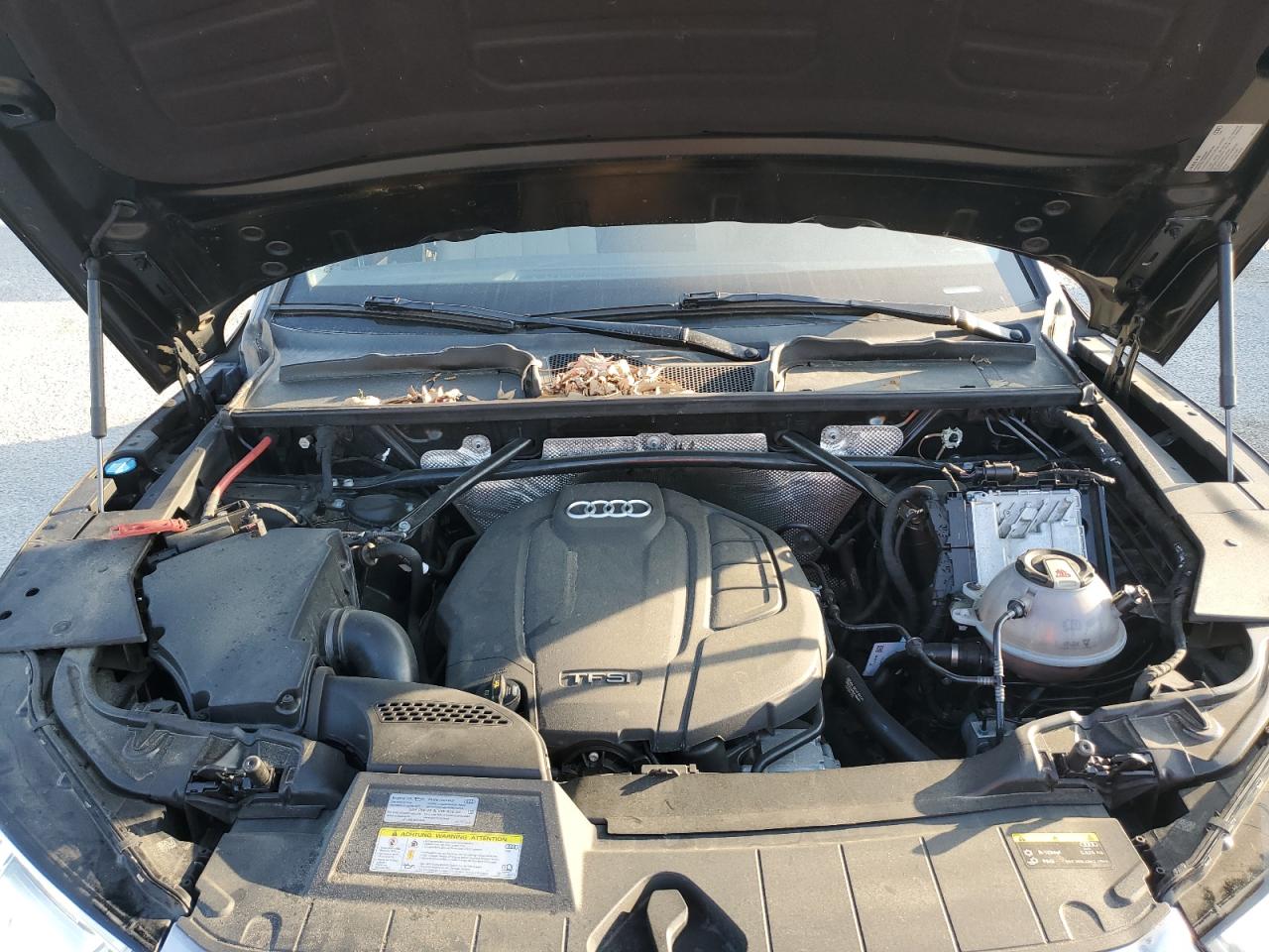 wa1bnafy4k2025062 WA1BNAFY4K2025062 2019 Audi Q5 Premium Plus