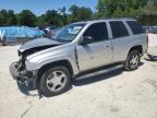 2005 Chevrolet Trailblazer Ls for Sale in Ocala, FL - All Over