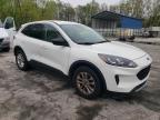 Rogersville, MO에서 판매 중인 2022 Ford Escape Se - Minor Dent/Scratches
